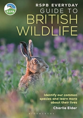 Image of The RSPB Everyday Guide to British Wildlife: Identify our common species and learn more about their lives