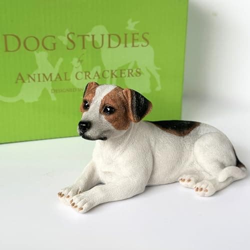 Image of Animal Crackers Laying Jack Russell Terrier Dog figurine from the Dog Studies collection, in a quality gift box
