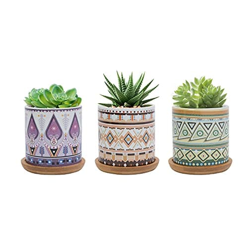 Image of FORAGIFT 7.5CM Succulent Plant Pot, Ceramic Colorful Pattern Cactus Plants Pot, Small Plant Pots for Indoor Outdoor Plants with Bamboo Tray, and Great for Home Office Decor, Set of 3