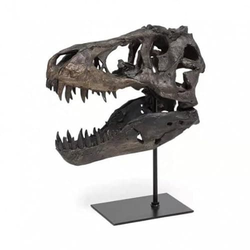 Image of Piuytrew Dinosaur Skull Model, Tyrannosaurus Rex Resin Head Statue Living Room Decoration Modern Office Decoration Wall Shelf Decoration,Black