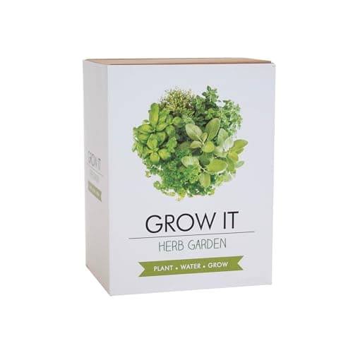 Image of Gift Republic Grow Your Own Herb Garden. Kitchen Herb Garden Gift Set. Basil, Rosemry, Thyme, Parsely, Chive Gardeners Gift Set