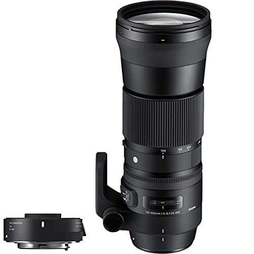 Image of Sigma ZB954 150 - 600 mm F5-6.3 DG OS HSM Contemporary Lens with TC-1401 Converter Kit for Canon Camera-Black