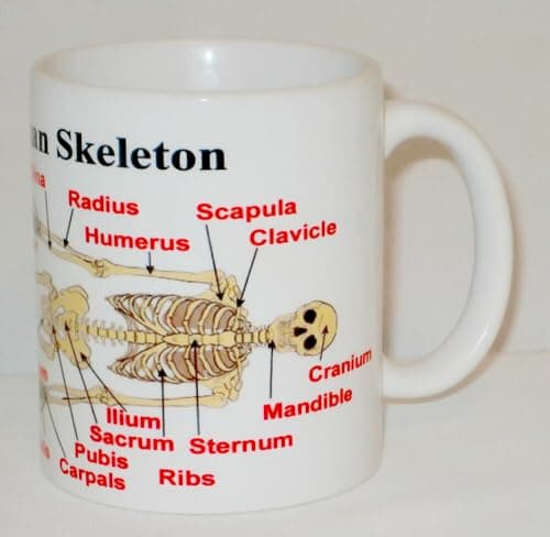 Image of Human Skeleton Diagram Ceramic Mug Great Funny Biology Humanity Gift