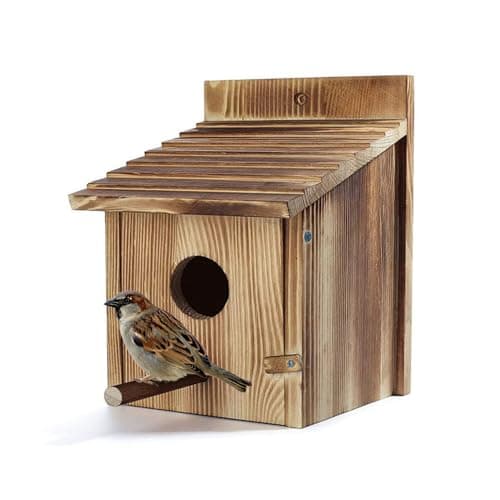 Image of Lotvic Bird House, 15x15x22cm Large Wooden Bird Box, Outdoor Hanging Birdhouse for Small Wild Birds, Robin Bird Houses for Garden, Bird Nesting Box for Mockingbirds, Hummingbirds, Parrots, Blue Tits