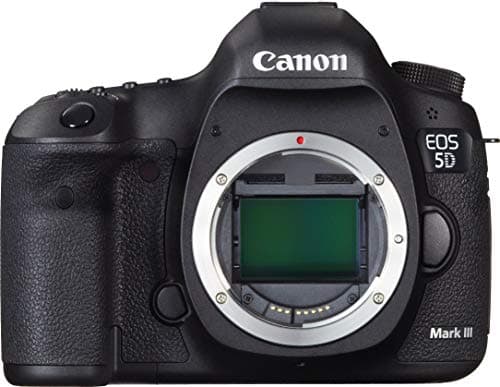 Image of Canon 5D III Digital SLR Camera - Body Only