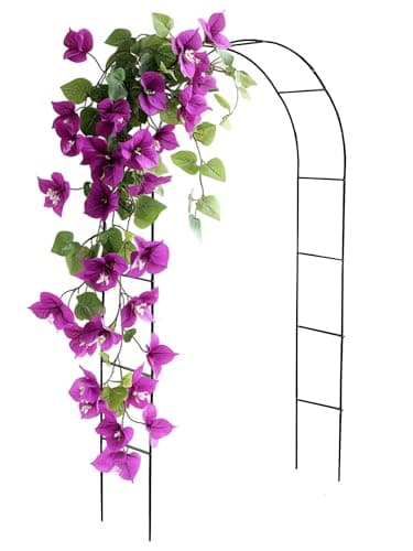 Image of DIVCHI Black Metal Garden Arbour Arch Steel Frame Garden Arch for Climbing Plants, Roses