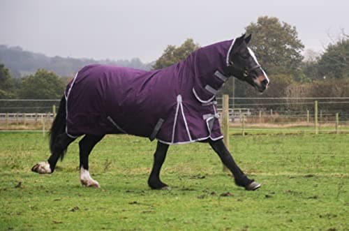 Image of Waterproof Horse Turnout Rug 100g Fill 600d Lightweight Turnout Horse Rugs | 100g Quilted Filling | Combo Full Neck | (6'6'')