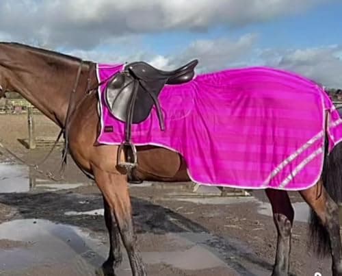 Image of Equipride REFLEX HIND EXERCISE SHEET HI VIZ QUARTER SHEET SADDLE GAP FULL/COB/PONY NEON PINK (Pony)