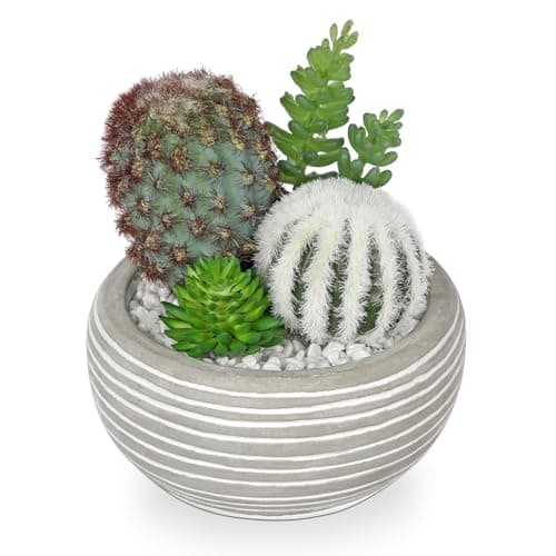 Image of Oairse Small Artificial Cactus Plant in Cement Pots Assorted Artificial Succulent Plants Decorative Faux Cacti Small Fake Plants for Home Kitchen Bathroom Desk shelf Indoor Decor