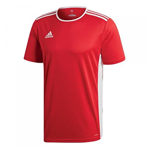 Image of adidas Men's Entrada 18 Jsy JERSEY SHORT SLEEVE , Powred/White, XL UK