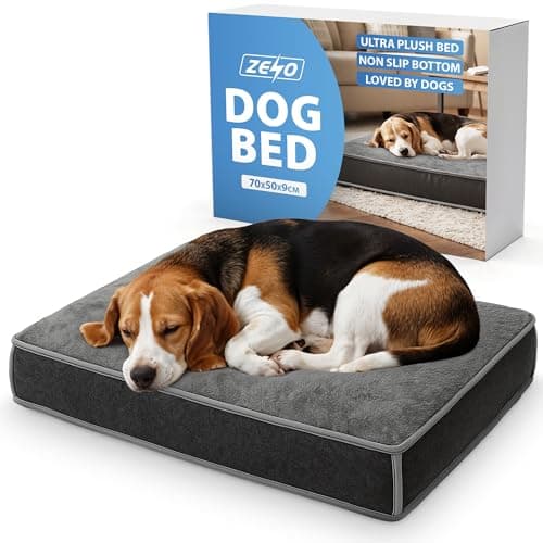 Image of ZENO Dog Bed 70 x 50CM | Washable Dog Bed with Removable Cover | Soft Memory Foam Dog Mattress for Small, Medium & Large Dogs | Calming Puppy Bed with Non Slip Base | Durable Pet Cushion | Grey