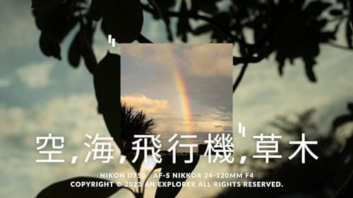 Image of Sky Aircraft Sea Tree taken by Nikon D750 with AF-S NIKKOR 24 to 120mm f4 (Japanese Edition)