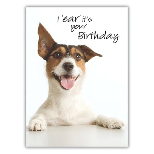 Image of Noel Tatt Open 'Happy Birthday' Funny Photographic Greeting Card - I 'Ear' It's Your Birthday - Jack Russell Terrier - From The Picture This Range