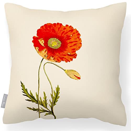 Image of Izabela Peters Outdoor Cushions Waterproof, 43 cm, Filled Outdoor Cushion, Vintage Poppy - Cream, Garden Furniture Cushions, Outdoor Seat Cushions, Garden Chair Cushions
