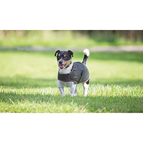 Image of Shires Digby & Fox Wax Coat - Olive Medium