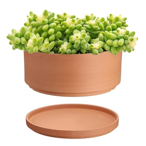 Image of SUMTree Terracotta Plant Pots 25.4cm Diameter Shallow Plant Pot for Indoor Outdoor Plants Round Succulent Plant Pot with Drainage Hole Clay Pots Bonsai Pot Shallow Planter