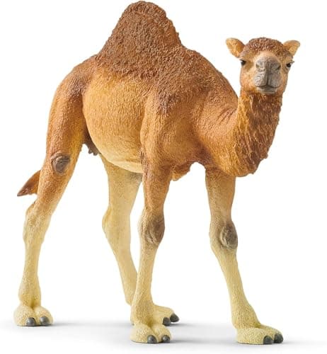 Image of SCHLEICH Wild Life Realistic Dromedary Camel Figurine - Authentic and Highly Detailed Wild Animal Toy, Durable for Education and Fun Play, Perfect for Boys and Girls, Ages 3+, Multicolor, 3.9 inch