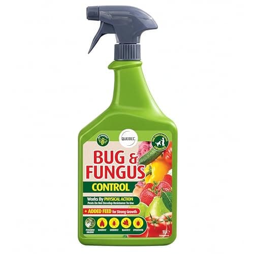 Image of Bug Clear Ultra Spray Bottle, For Flowers, Fruit & Veg, Kills Bugs & Prevents further attacks