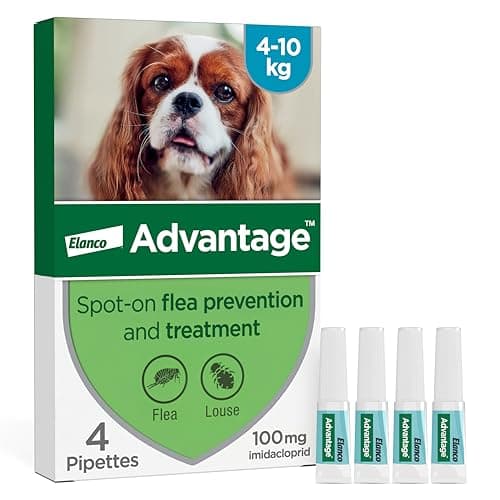 Image of Advantage Spot On Flea Treatment For Medium Dogs 4 - 10 kg (4 pipettes, 100mg), Kills Fleas Within 24 Hours, Prevents Further Infestation For Up To Four Weeks