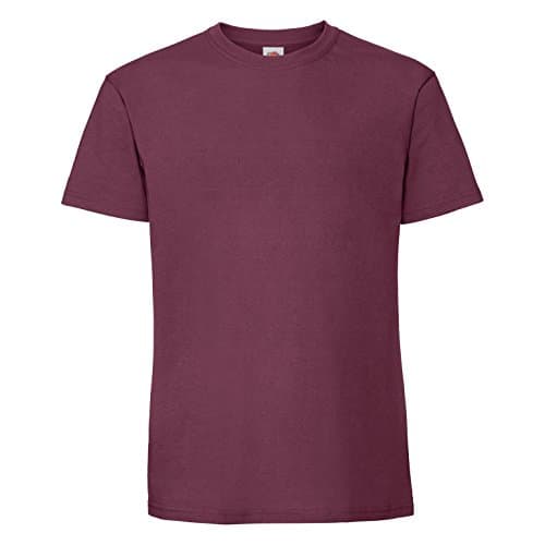 Image of Fruit of the Loom Mens Ringspun Premium Tshirt (XL UK) (Burgundy)