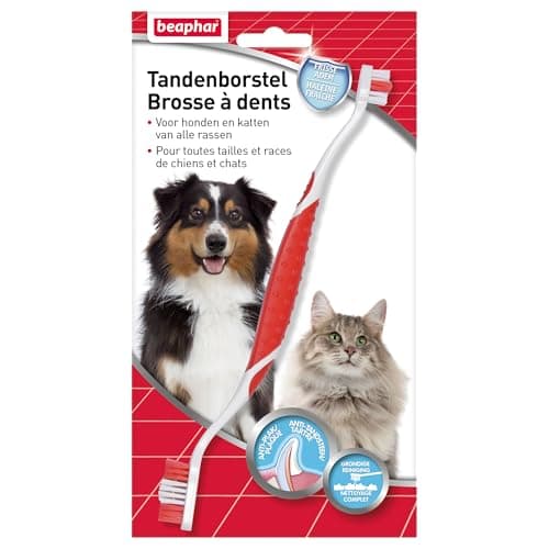 Image of BEAPHAR Toothbrush, Fresh Breath for Dogs and Cats - Anti Plaque & Anti Tartar - Complete Cleaning - Easy to Use - for All Sizes/Breeds of Dogs & Cats - 1 Brush