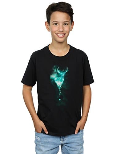 Image of Harry Potter Boys Stag Patronus Mist T-Shirt 9-11 Years Black