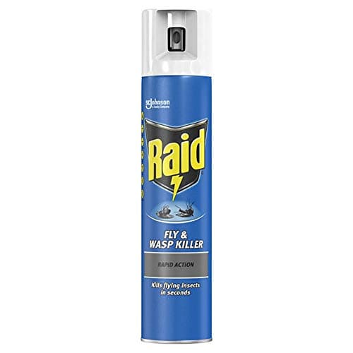 Image of Raid Fly & Wasp Killer 300ml Kills Bugs Dead Fast Postage