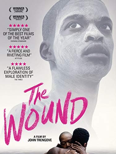 Image of The Wound