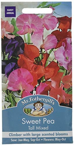 Image of Mr Fothergill's Sweet Pea Tall Mixed