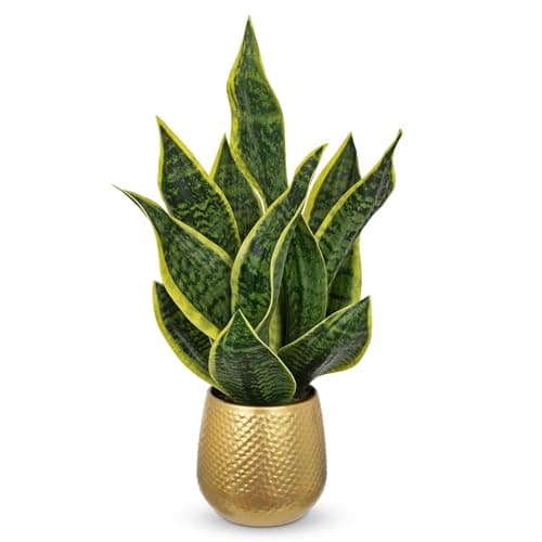 Image of Arborus Artificial Snake Plant in Gold Pot 18" Tall Faux Sansevieria Indoor Plant with Metal Pot Fake Snake House Plants Potted Desk Plants for Living Room Home Kitchen Shelf Decorations