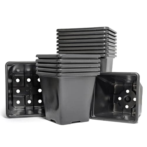 Image of Elixir Gardens Square Black Plant Pots | Lightweight, Recycled Plastic Seed Starting/Nursery & Seedling Pots for Flowers, Herbs, Fruiit & Vegetables | 7cm x 50