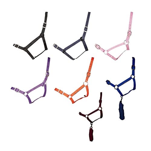 Image of Gallop Basic Nylon Headcollar and Lead Rope Set, Cob Size, Navy