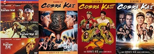 Image of Cobra Kai - Season 1 2 3 & 4 / The Karate Kid : 3-Movie Collection [Martial Arts DVD 4-Pack]