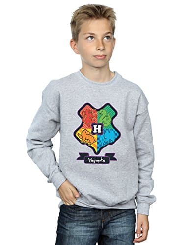 Image of Harry Potter Boys Hogwarts Distressed Crest Sweatshirt 9-11 Years Sport Grey