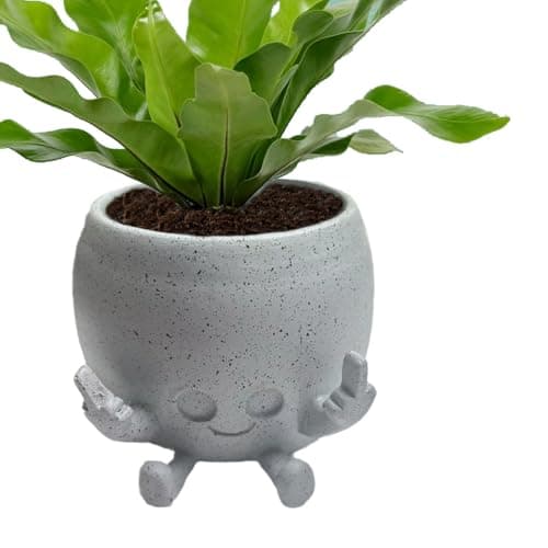 Image of Voarge Smiley Face Planter Pot Cute Resin Flower Head Planters, Creative Succulent Cactus Planter for Home Office Balcony Garden Decoration, Middle finger-shaped flower pot