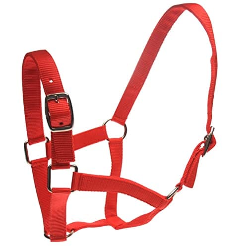 Image of Roma Headcollar/Leadrope Set Red Pony