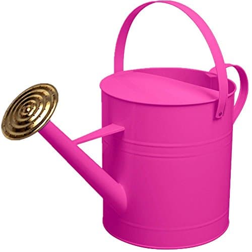 Image of CrazyGadget® Garden Plant Flower Colour Galvanised Metal Steel Watering Can 9L 9 Litre / 2 Gallon with Brass Rose (Pink)