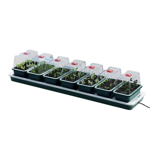 Image of Oakland Gardens Super 7 Electric Windowsill Propagator | Heated Seed Starter Kit with 7 Mini Trays & Vented Lids | Indoor Seedling & Cutting Growing System