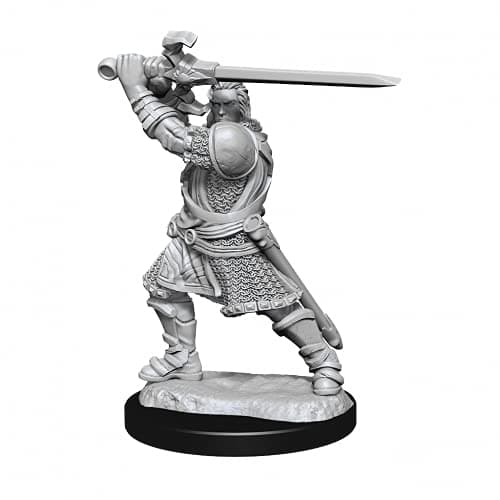 Image of D&D Nolzur's Marvelous Unpainted Miniatures (W14) Human Paladin Male
