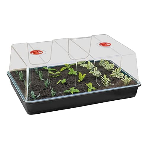 Image of Muddy Hands High Dome Propagator Garden Greenhouse Plant Seedling Seed Germination Tray with Lid (Tray Comes With Drainage Holes) (Extra Large)