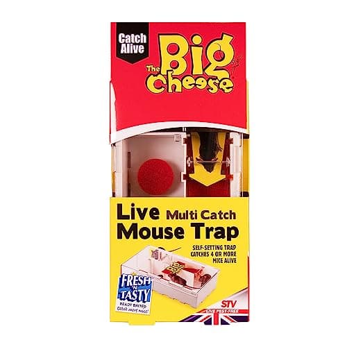 Image of The Big Cheese Live Multi-Catch Mouse Trap, Humane, Baited and Ready-To-Use, Catches 4 Mice to Release, Self-Setting, Plastic, Indoor and Outdoor Use