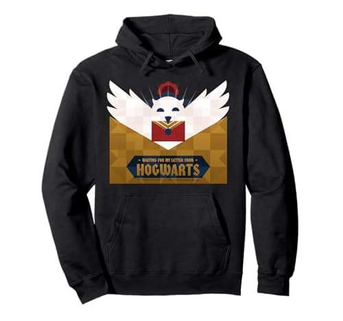Image of Waiting for My Letter from Hogwarts Fantasy Owl Pullover Hoodie