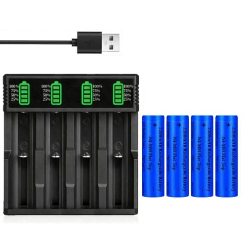 Image of 4 Pack 2200 mAh Ni-MH Flat Top Battery with 4-Slot USB Battery Charger, Batteries Rechargeable Large Capacity for LED Flashlight/Camera/Small Fan/Garden Light
