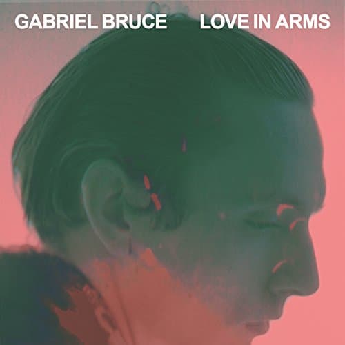 Image of Love In Arms
