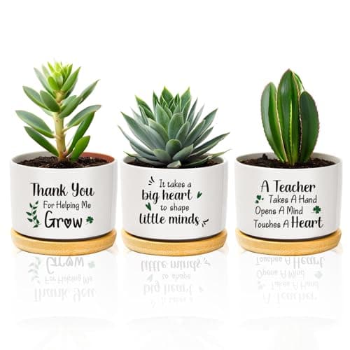 Image of coTaSiEY Teacher Gifts, Thank You Teacher Ceramic Planters Pots And Trays End of The Year Leaving Appreciation Thankyou Presents for Women Men Male Indoor And Outdoor