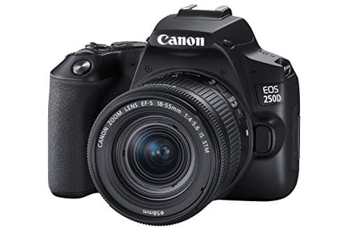 Image of Canon EOS 250D + Canon EF-s 18-55mm f/4-5.6 IS STM Lens - Black