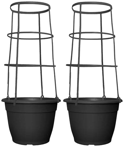Image of Muddy Hands Set of 2-9.5 Litre Black Plastic Trellis Planters Climbing Plants Support Cage Frame Sweet Pea Runner Bean Tomato Vegetable Flower Plant Pots