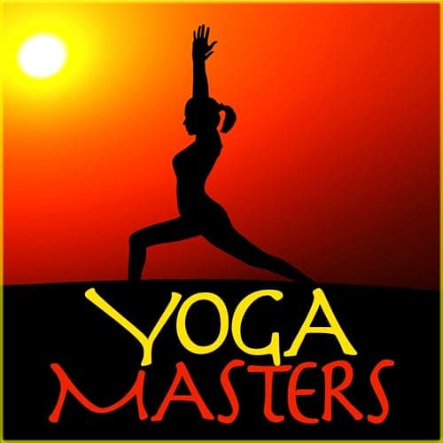 Image of Master of Light