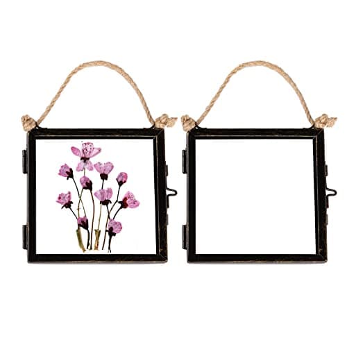 Image of Nicola Spring Hanging Metal Photo Frames 4x4 Inch (11 x 11cm) - Set of 2 Black Vintage Glass Picture Frames with Rope for Wall Display - Rustic Industrial Home Décor for Photos & Keepsakes
