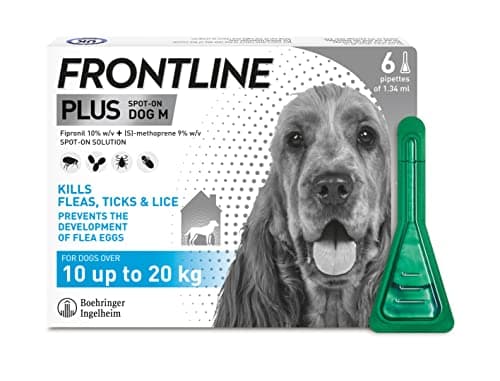 Image of FRONTLINE Plus Flea & Tick Treatment for Medium Dogs - 6 Pipettes
